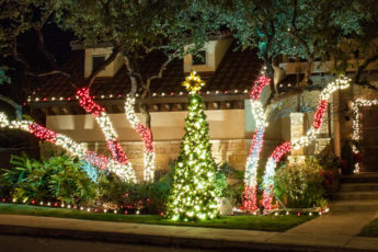Holiday Lighting - Outdoor Landscape Lighting Installations and Designs by Elite Lighting Designs