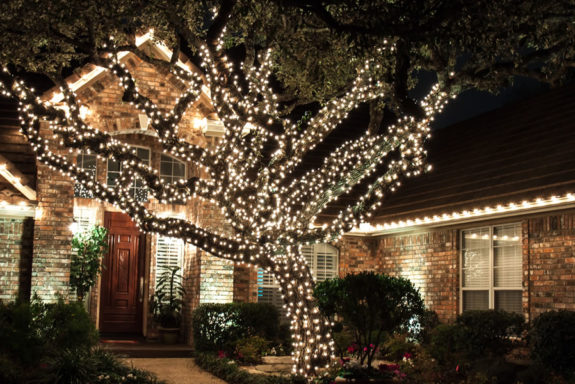 Why Hiring an Electrician to Install Holiday Lighting? - Outdoor Landscape Lighting Installations and Designs by Elite Lighting Designs