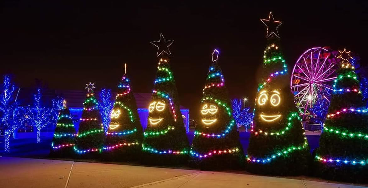 Christmas Light Installation Mound MN