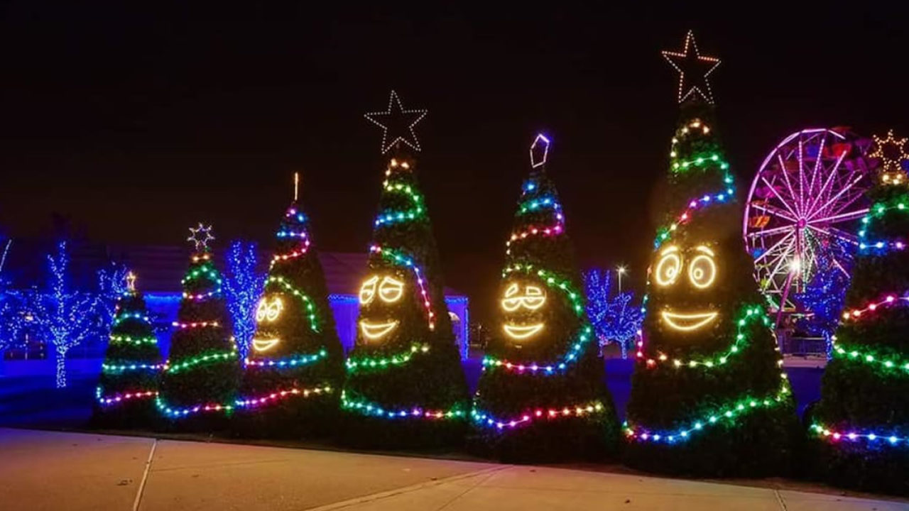 Christmas Light Installation