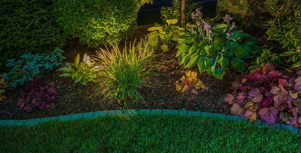 Residential Outdoor Lighting Can Help Plant Development. Here’s How! - Outdoor Landscape Lighting Installations and Designs by Elite Lighting Designs