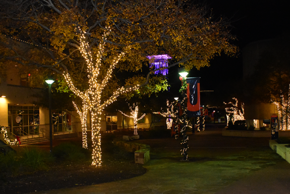 Let The Holiday Lighting Planning Begin! - Outdoor Landscape Lighting Installations and Designs by Elite Lighting Designs