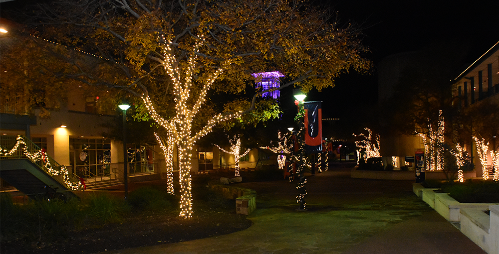 Let The Holiday Lighting Planning Begin! - Outdoor Landscape Lighting Installations and Designs by Elite Lighting Designs
