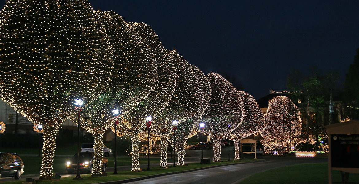 Leave Your Holiday Lighting to Us! - Outdoor Landscape Lighting Installations and Designs by Elite Lighting Designs