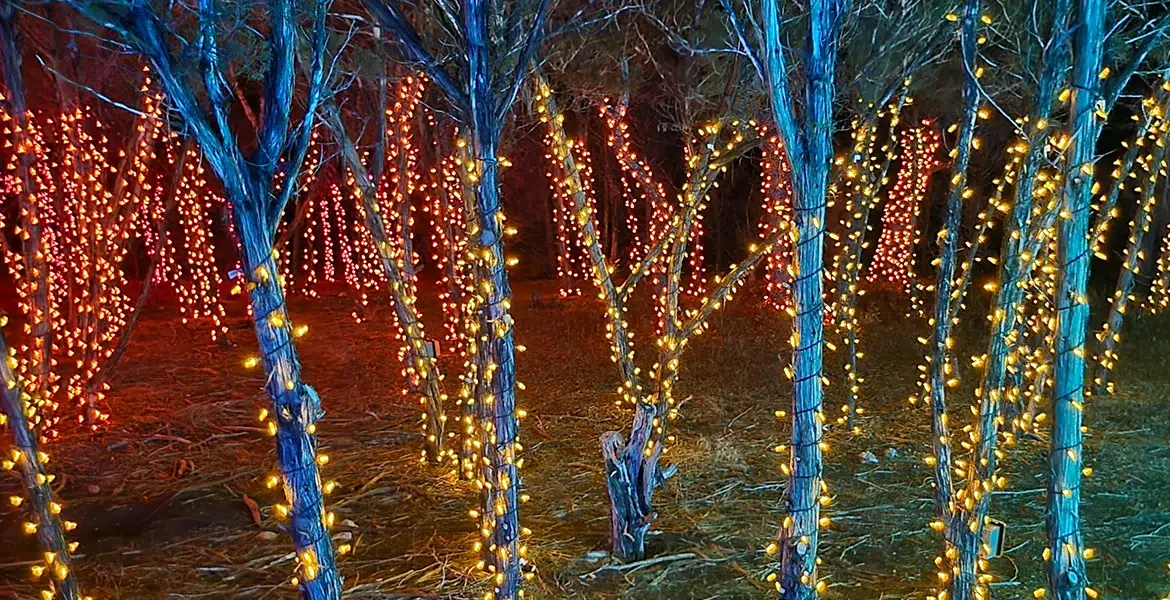 Which Halloween Lighting Styles Will Be Popular This Year? - Outdoor Landscape Lighting Installations and Designs by Elite Lighting Designs